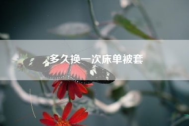 多久换一次床单被套