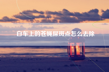 白车上的苍蝇屎斑点怎么去除