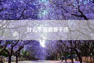 什么衣服需要干洗