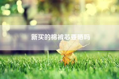 新买的棉被芯要晒吗