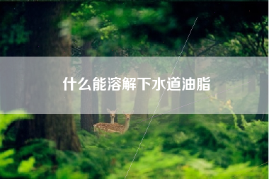 什么能溶解下水道油脂