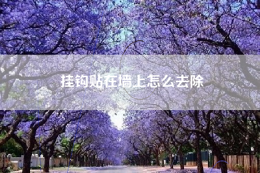 挂钩贴在墙上怎么去除