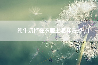 纯牛奶掉在衣服上怎样洗掉