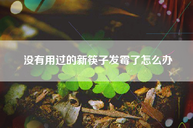 没有用过的新筷子发霉了怎么办