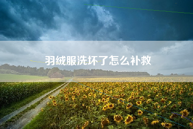 羽绒服洗坏了怎么补救