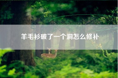 羊毛衫破了一个洞怎么修补