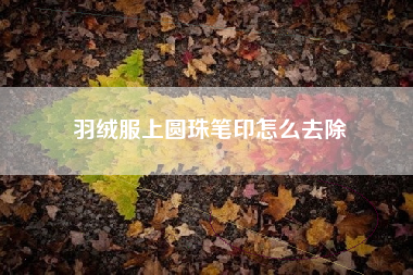 羽绒服上圆珠笔印怎么去除
