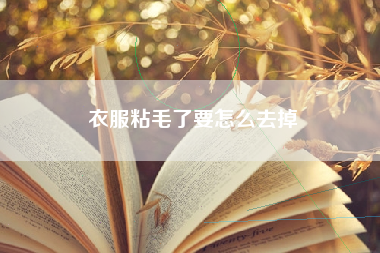 衣服粘毛了要怎么去掉