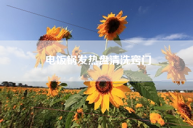 电饭锅发热盘清洗窍门