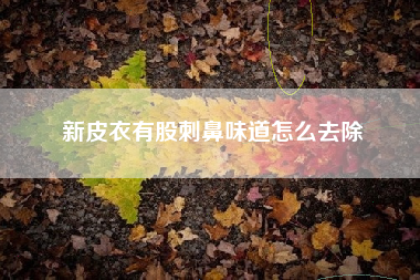 新皮衣有股刺鼻味道怎么去除