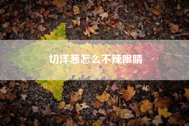 切洋葱怎么不辣眼睛