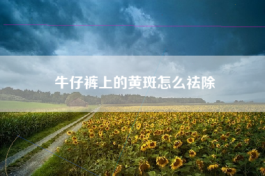 牛仔裤上的黄斑怎么祛除