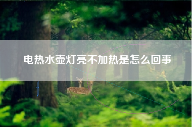 电热水壶灯亮不加热是怎么回事