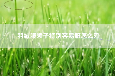 羽绒服领子特别容易脏怎么办