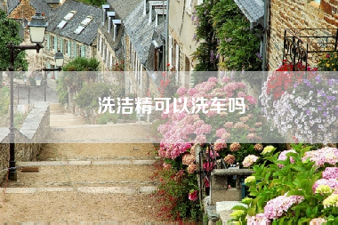 洗洁精可以洗车吗