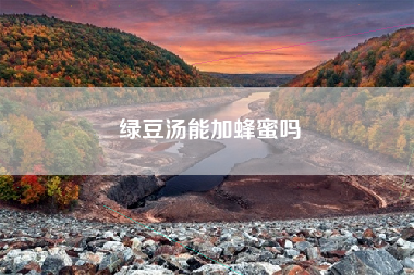 绿豆汤能加蜂蜜吗