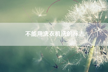 不能用洗衣机洗的标志