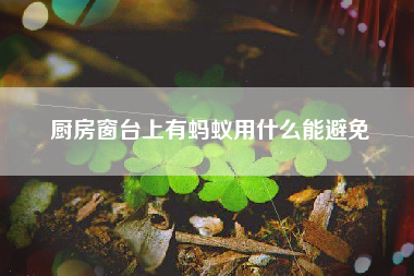 厨房窗台上有蚂蚁用什么能避免