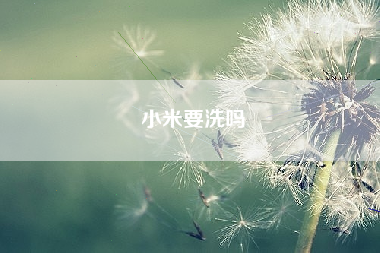 小米要洗吗