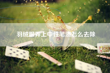 羽绒服弄上中性笔渍怎么去除