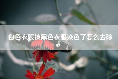 白色衣服被黑色衣服染色了怎么去除