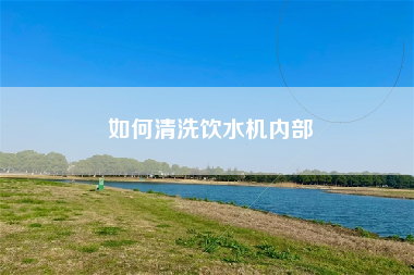 如何清洗饮水机内部