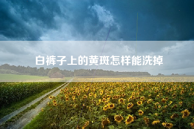 白裤子上的黄斑怎样能洗掉