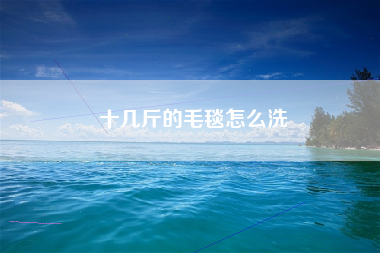 十几斤的毛毯怎么洗