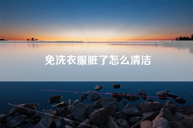 免洗衣服脏了怎么清洁