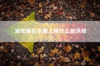 油笔画在衣服上用什么能洗掉