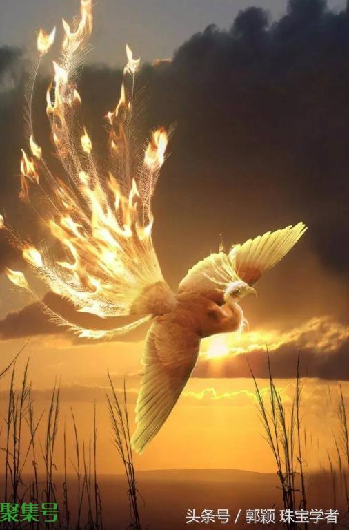 “鸟人”到底是什么?神圣的象征还是诋毁人的蔑称?