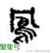 “鸟人”到底是什么?神圣的象征还是诋毁人的蔑称?