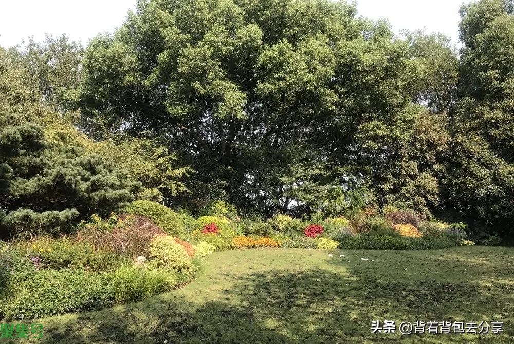 浙江省十大著名景点,四家景区免费开放,无需购票,你又去过几处