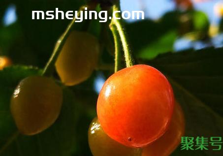 垂涎欲滴的意思（垂涎欲滴出处）