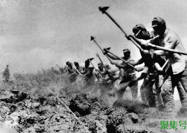 南泥湾开荒的资料(南泥湾开荒种田)