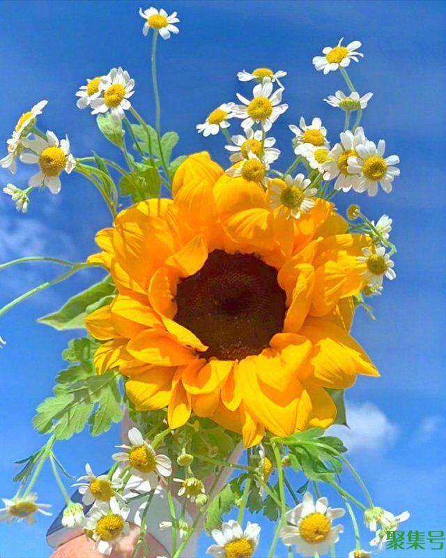 人生感语微信朋友圈(微信朋友圈语录感悟人生)