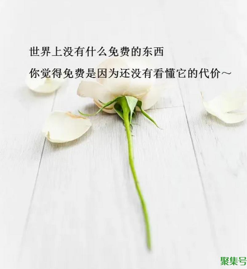 心情美美哒的简短句子(心态好格局大的句子)