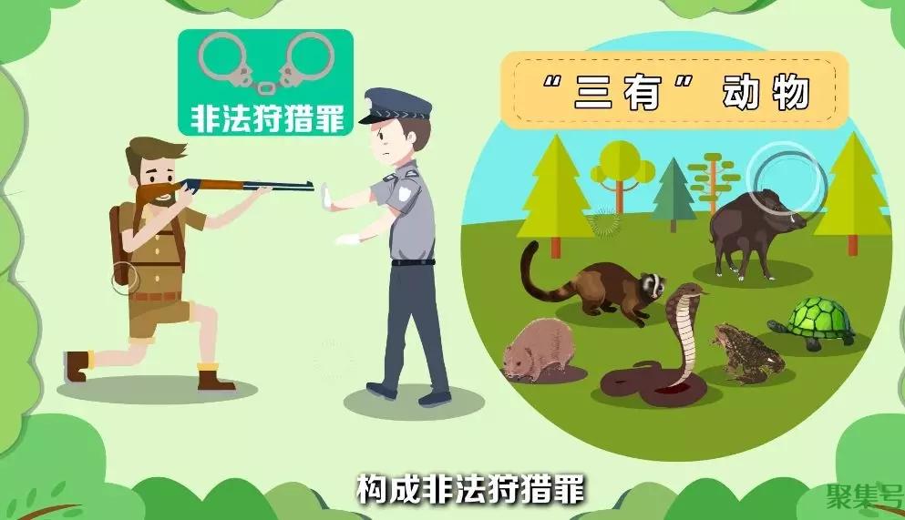 三有保护动物是什么意思(三有保护动物是哪三有)