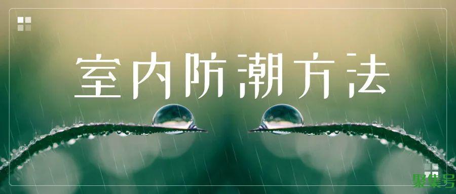 阴雨天屋子潮湿怎么办（屋里很潮湿有什么办法）