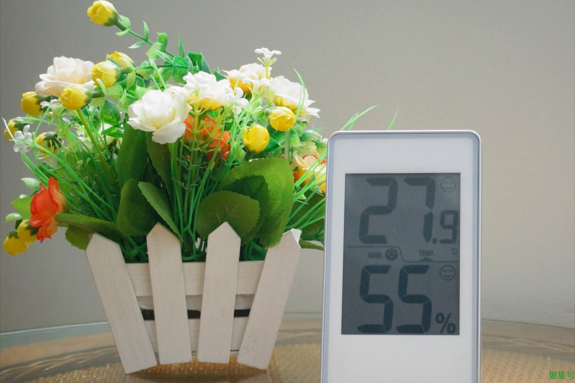 房子里太干燥解决的办法（室内干燥除了加湿器还有什么办法）