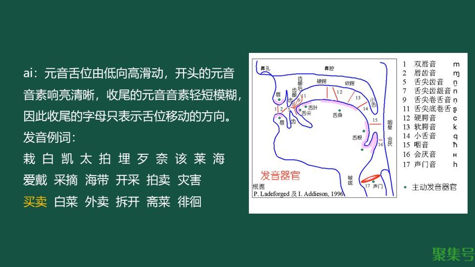 韵母ai的字有哪些(韵母ai怎么读)