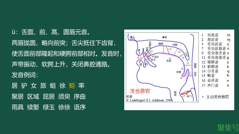 韵母ü的发音(韵母ü的相关字词)
