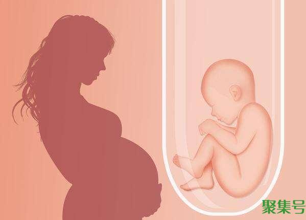 什么时候怀孕几率最高（女性最佳受孕期是什么时候）