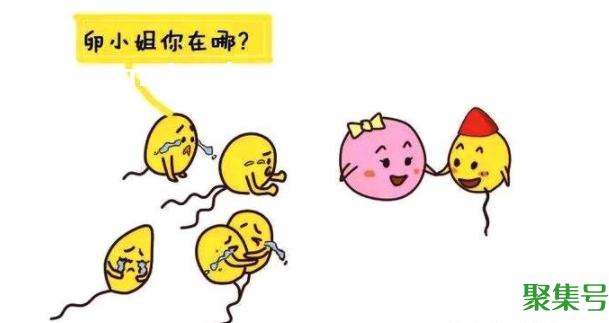 女性最容易怀孕的时间段（女人哪段时间最容易怀孕）