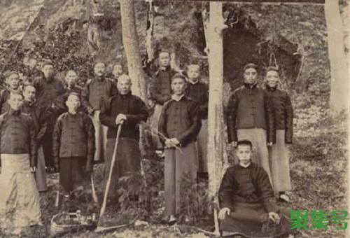 植树节是几月几日(植树节为何定在3月12日)