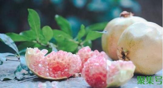 石榴买回来不熟可以催熟吗(石榴怎么看熟没熟)