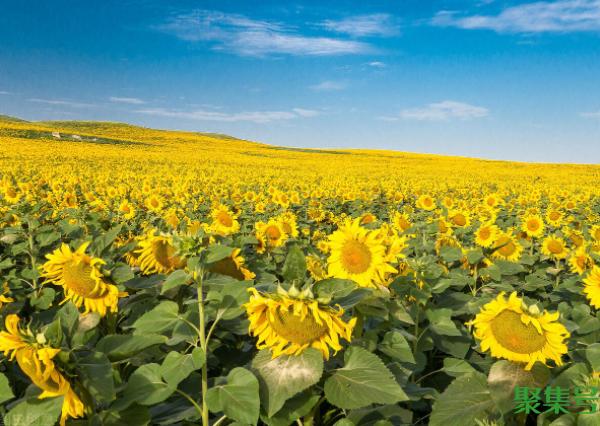 疫情正能量朋友圈说说（2022疫情说说正能量）