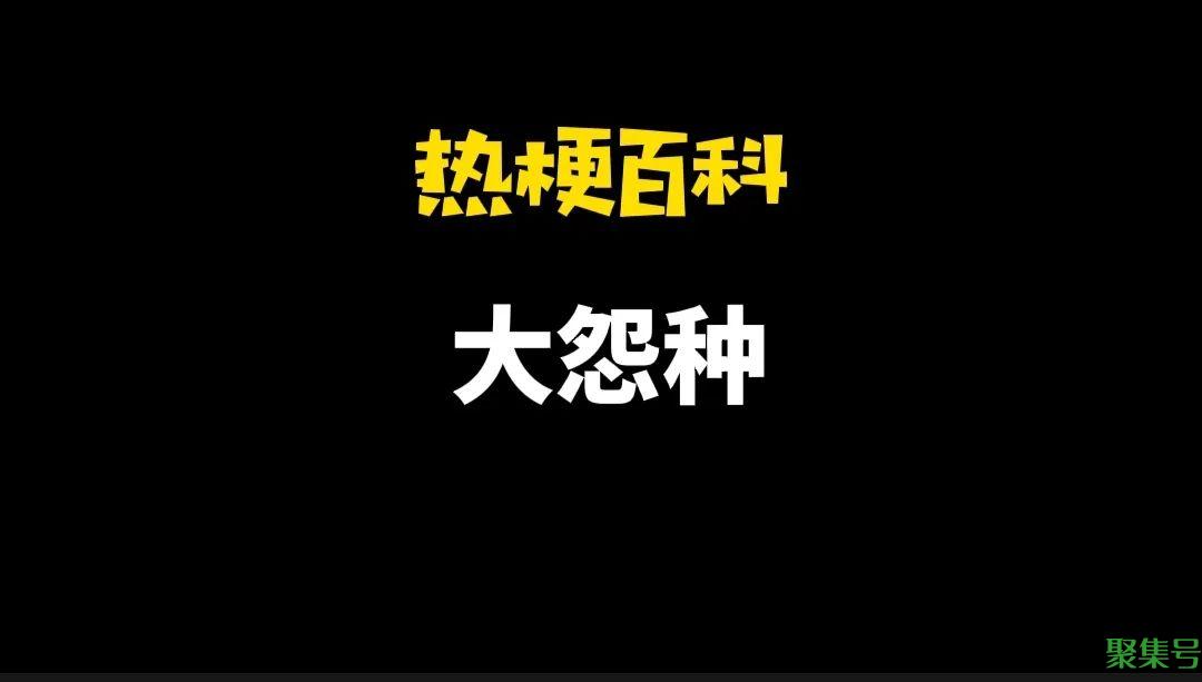 大冤种什么意思（纯属大冤种是什么意思）
