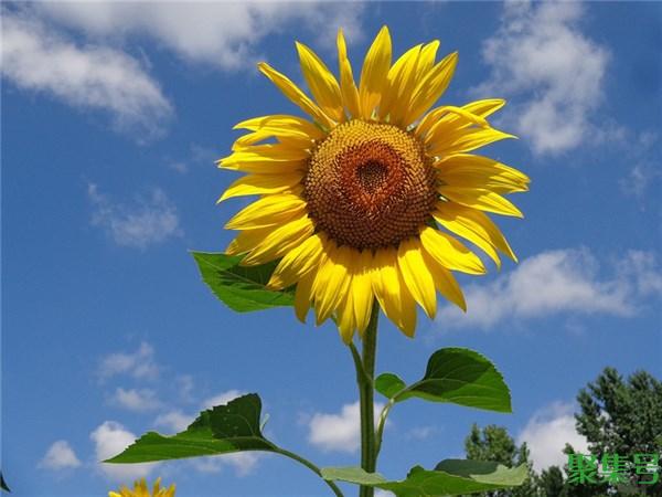 触动心弦的句子(触动心弦的句子励志)