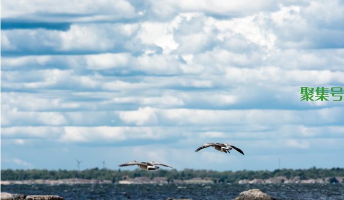 扶摇直上九万里全诗，扶摇直上九万里上一句是什么？